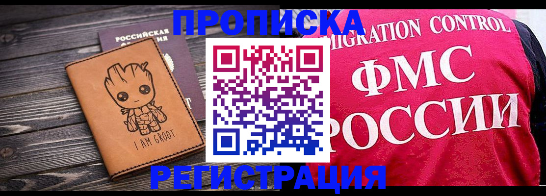 прописка 2025 в Дмитрове