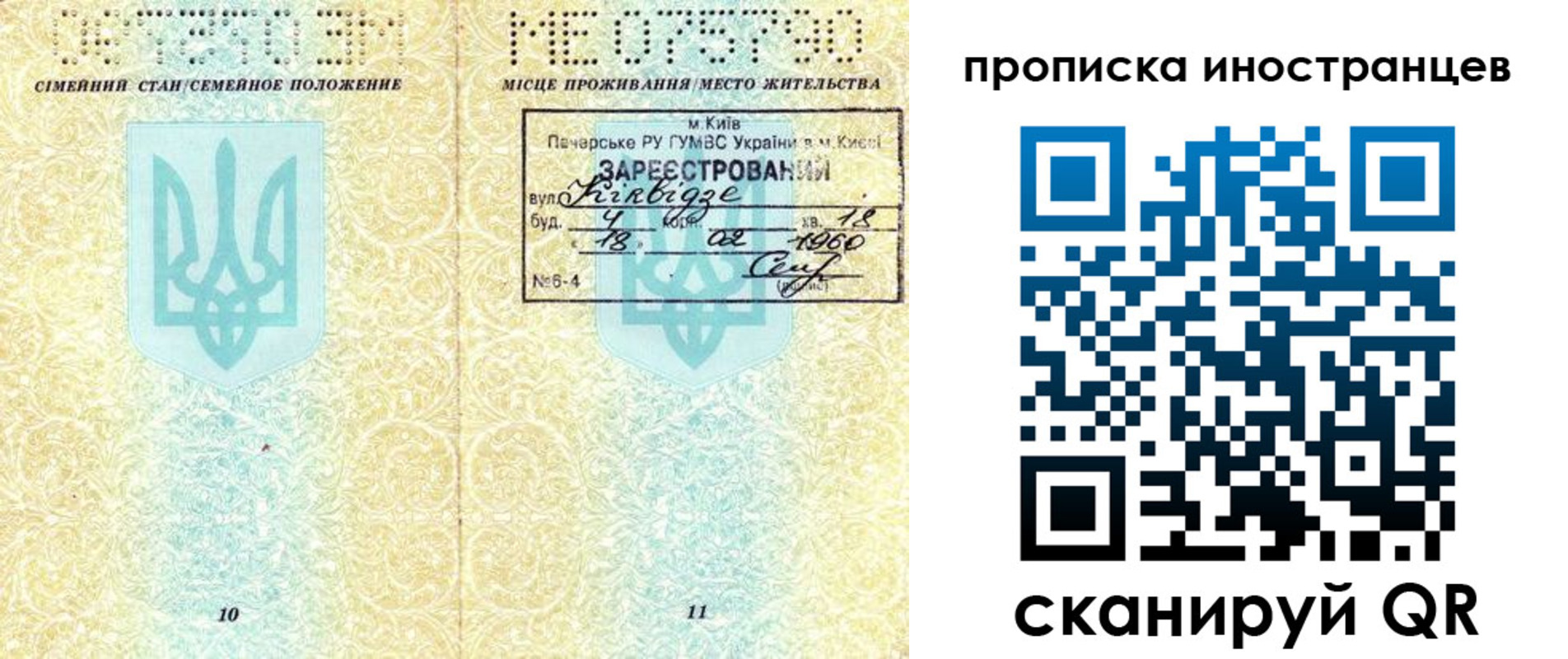 купить прописку в Дмитрове